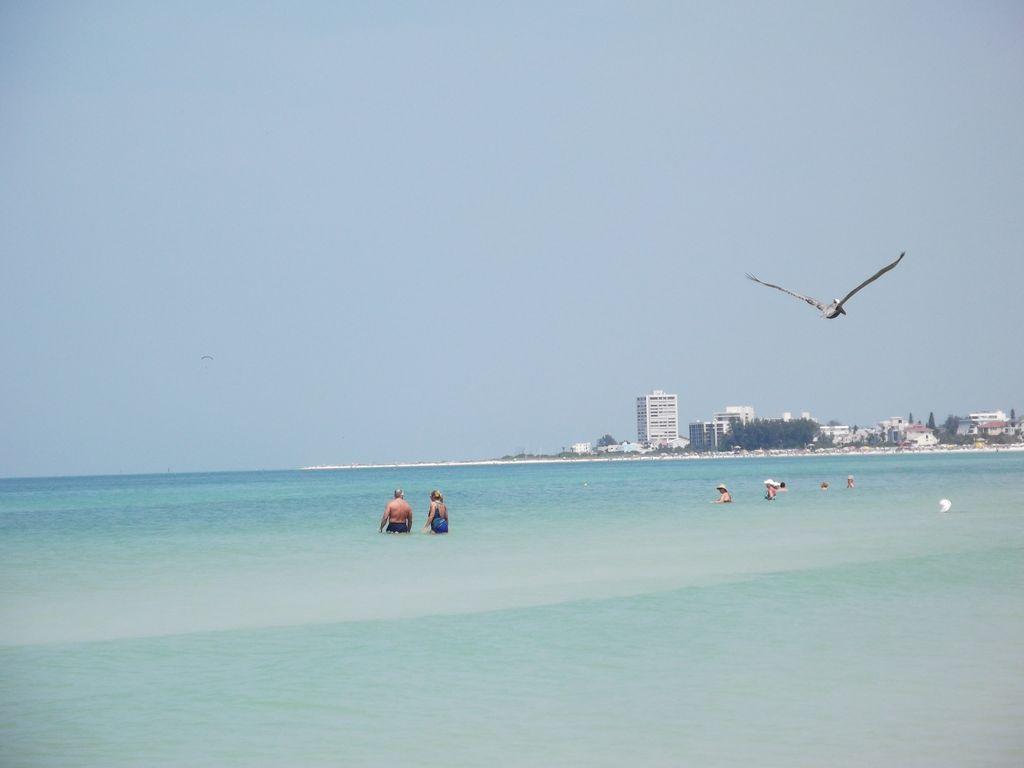 2Br/1Ba Vacation Rental - Sienna Park Sarasota Eksteriør bilde
